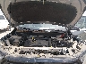 3GKALMEG5RL****** Reparables 2024 GMC Terrain en Fort Worth North
