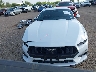 1FA6P8TH0S5****** Used 2025 Ford Mustang in Texas State