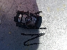 5UXWX7C52DL****** Salvamento 2013 BMW X3 en Estado de Illinois
