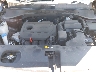 5XYPG4A37KG****** Repairable 2019 Kia Sorento in Chicago South
