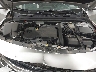 1G1ZD5ST0KF****** Repairable 2019 Chevrolet Malibu in Saint Cloud