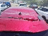 1FMCU9MN5RU****** Reparables 2024 Ford Escape