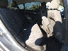 1G1BE5SM7K7****** Wrecked 2019 Chevrolet Cruze in Louisville North