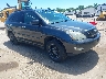 2T2HK31U49C****** Salvage and Wrecked 2009 Lexus RX 350 in South Bend