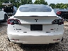 5YJ3E1EC6MF****** Wrecked 2021 Tesla Model 3