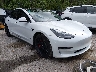 5YJ3E1EC6MF****** Salvage and Wrecked 2021 Tesla Model 3 in Electric Vehicle Auctions