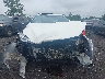 3PCAJ5J31NF****** Salvamento 2022 Infiniti QX55 en Estado de Nueva York