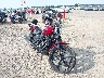 1HD1YYK15PB****** Salvage and Wrecked 2023 Harley-Davidson Street Bob in Rec Rides Online Exclusive