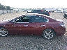 1N4AA5AP6DC****** Reparables 2013 Nissan Maxima en Estado de Luisiana