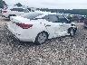 3N1AB8BV9RY****** Salvamento y Destrozados 2024 Nissan Sentra en Estado de Georgia
