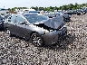 4T1BF1FKXHU****** Salvamento y Destrozados 2017 Toyota Camry en Greenville