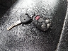 1GKKVSKD4EJ****** Salvamento 2014 GMC Acadia en Estado de Maine