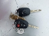 5YFBURHE5HP****** Salvamento 2017 Toyota Corolla en Estado de Nueva York