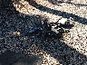 JM3KFACM0L1****** Wrecked 2020 Mazda CX-5 in Virginia State