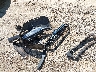 2HKRW2H58KH****** Wrecked 2019 Honda CR-V in Massachusetts State