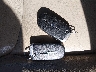 2C3CCACG9CH****** Salvamento 2012 Chrysler 300 en Estado de Maine