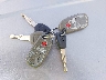 2HNYD186X3H****** Salvamento 2003 Acura MDX en Estado de Kentucky