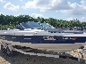 BIYC48C***** Salvamento 2005 Bayliner Other en Estado de Ohio