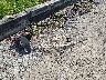 57XAAPHD4N8****** Wrecked 2022 Polaris Slingshot in Illinois State