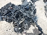 MLY1ZF111TS****** Usados y Reparables 2026 Harley-Davidson RH975 en Rec Rides Online Exclusive