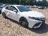 4T1G11AKXPU****** Salvamento y Destrozados 2023 Toyota Camry en Longview
