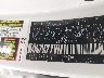 4T1G11AKXPU****** Usados 2023 Toyota Camry en Longview