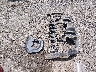 1FA6P8CF9L5****** Destrozados 2020 Ford Mustang en Estado de Luisiana