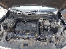 3GKALMEV6KL****** Repairable 2019 GMC Terrain in Corpus Christi