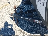 4X4TWDT12KY****** Repairable 2019 Forest River Wildwood in Houston South