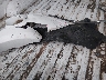 5TBET34115S****** Wrecked 2005 Toyota Tundra in Oklahoma State