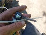 ML5EREL16ND****** Salvamento 2022 Kawasaki Z650 en Estado de Maryland