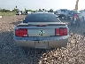 1ZVHT80NX85****** Usados 2008 Ford Mustang