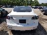 5YJ3E1EA7MF****** Wrecked 2021 Tesla Model 3