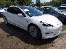 5YJ3E1EA7MF****** Salvage and Wrecked 2021 Tesla Model 3 in Kansas City