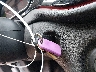 1C3CDFBB9ED****** Salvage 2014 Dodge Dart in Texas State