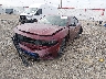 2C3CDXBG6KH****** Usados y Reparables 2019 Dodge Charger en Lafayette