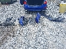 1HGCV3F21NA****** Repairable 2022 Honda Accord