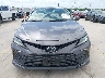 4T1C11AK4RU****** Destrozados 2024 Toyota Camry en Estado de Texas