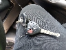 JTMBK32V695****** Salvage 2009 Toyota RAV4 in Oklahoma State