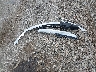 2T3H1RFV2MC****** Wrecked 2021 Toyota RAV4 in Illinois State