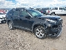 2T3J1RFV2KW****** Salvage and Wrecked 2019 Toyota RAV4 in Western Colorado