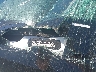 5XYRG4LC0MG****** Used 2021 Kia Sorento in Santa Clarita