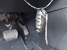 1N4AL3AP8HC****** Salvage 2017 Nissan Altima in Texas State