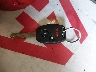5FNYF18505B****** Salvage 2005 Honda Pilot in Oregon State