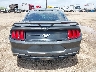 1FA6P8TH9K5****** Usados 2019 Ford Mustang