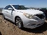 5NPEC4AC3DH****** Salvamento y Destrozados 2013 Hyundai Sonata en Phoenix