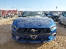 1FA6P8TH7R5****** Destrozados 2024 Ford Mustang en Estado de Texas