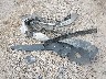2T1BE40E19C****** Wrecked 2009 Toyota Corolla in Montana State