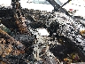 JN8AT2MV2HW****** Used and Repairable 2017 Nissan Rogue in South Carolina State