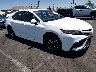 4T1G11AK4PU****** Salvage and Wrecked 2023 Toyota Camry in Las Vegas